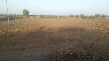  Agricultural Land for Sale in Khanpur, Alwar