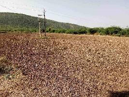  Agricultural Land for Sale in NH 8, Ajmer