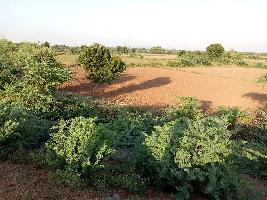  Agricultural Land for Sale in Makarwali Road, Ajmer