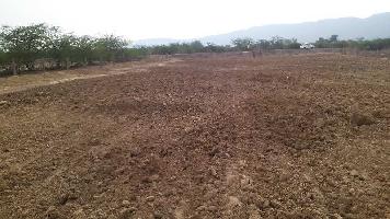  Agricultural Land for Sale in Raipur, Pali