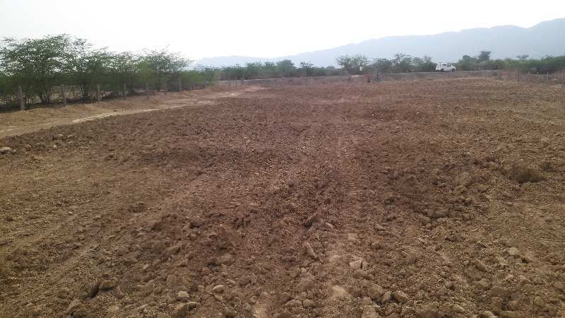 Agricultural Land 17 Bigha for Sale in Raipur, Pali