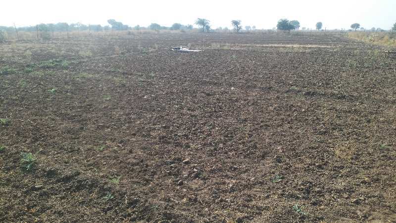 Agricultural Land 25 Bigha for Sale in Jaipur Road, Ajmer