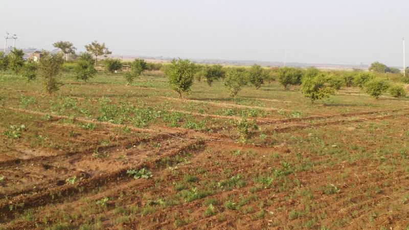 Agricultural Land 16 Bigha for Sale in Kotra, Ajmer