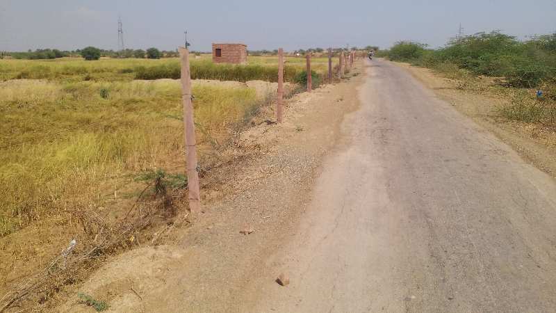 Agricultural Land 14 Bigha for Sale in Agra Road, Dausa