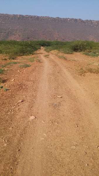 Agricultural Land 9 Bigha for Sale in Agra Road, Dausa