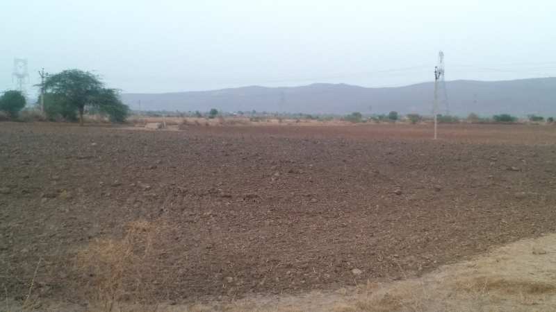 Agricultural Land 15 Bigha for Sale in Agra Road, Dausa
