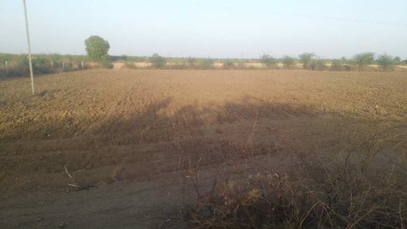 Agricultural Land 11 Bigha for Sale in Agra Road, Dausa