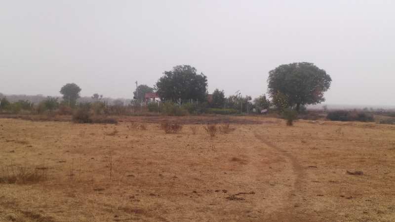 Agricultural Land 22 Bigha for Sale in Agra Road, Dausa