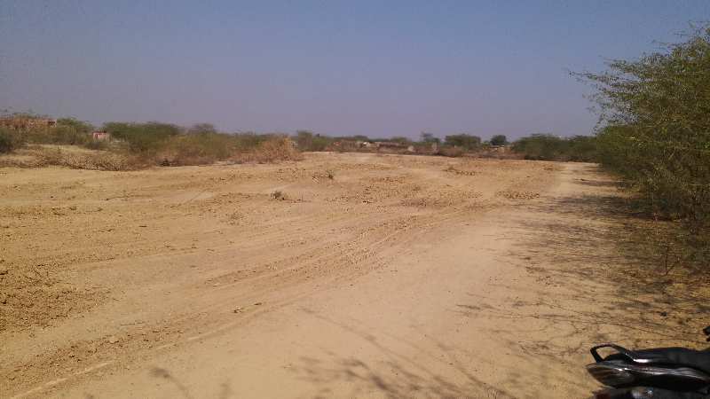 Agricultural Land 21 Bigha for Sale in Agra Road, Dausa