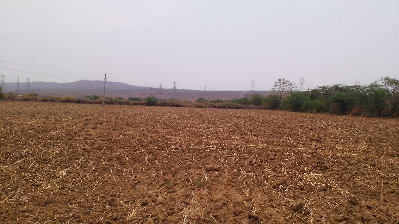 Agricultural Land 28 Bigha for Sale in Lalsot, Dausa