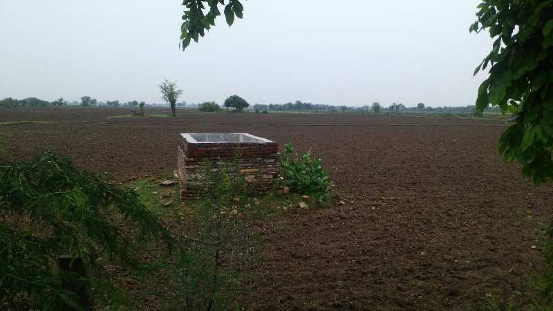 Agricultural Land 22 Bigha for Sale in Agra Road, Dausa