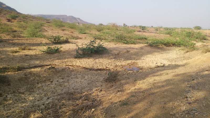 Agricultural Land 27 Bigha for Sale in Jaipur Road, Dausa