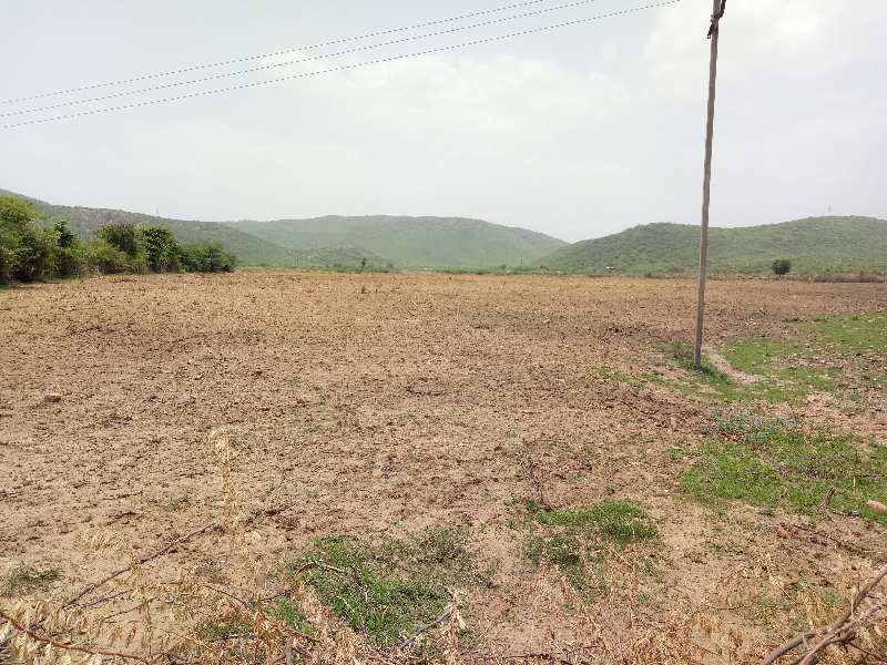 Agricultural Land 15 Bigha for Sale in Agra Road, Dausa