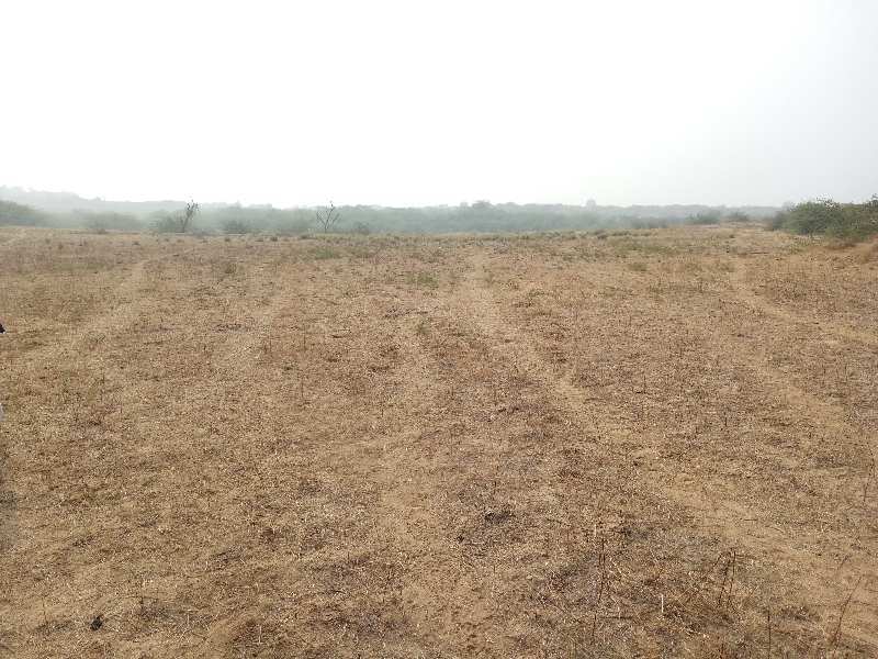 Agricultural Land 17 Bigha for Sale in Agra Road, Dausa