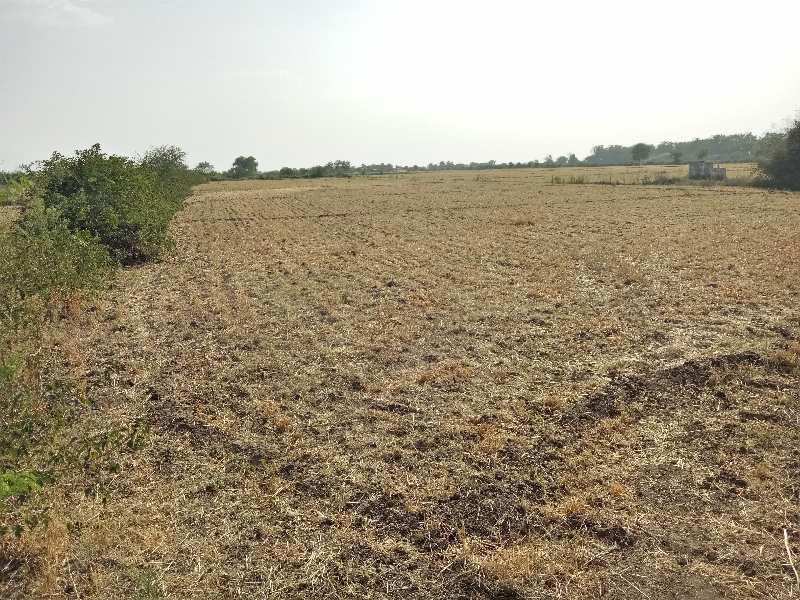 Agricultural Land 9 Bigha for Sale in Asind, Bhilwara