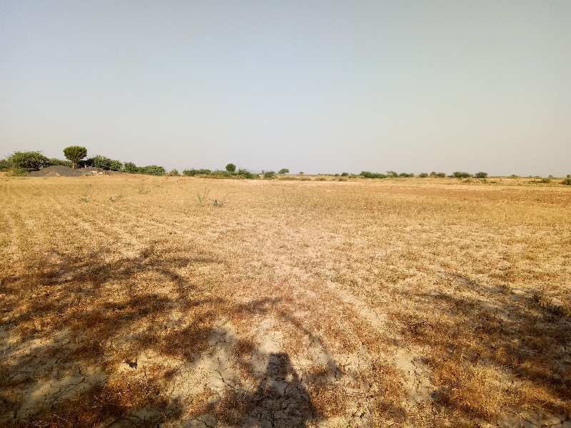 Agricultural Land 17 Bigha for Sale in Kotri, Bhilwara