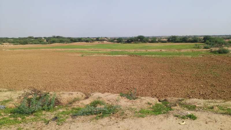 Agricultural Land 7 Bigha for Sale in Azad Nagar, Bhilwara