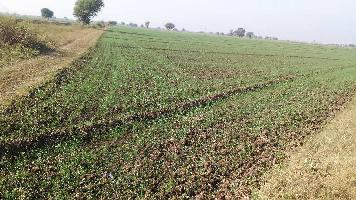  Agricultural Land for Sale in Keshoraipatan, Bundi