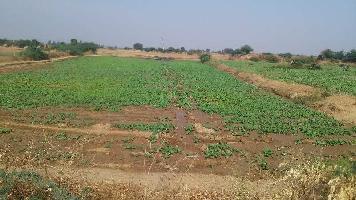  Agricultural Land for Sale in Chhabra, Baran