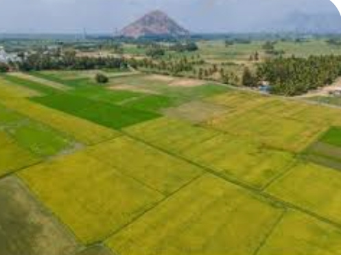  16 Sq.ft. Agricultural/Farm Land for Sale in Digod, Kota