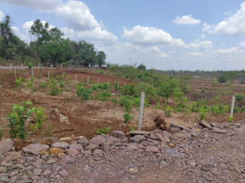  Agricultural Land for Sale in Murbad MIDC, Thane