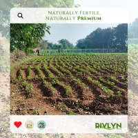  Agricultural Land for Sale in Murbad, Thane