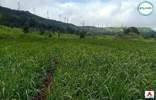  Agricultural Land for Sale in Satara Road, Pune