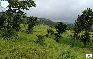  Agricultural Land for Sale in Khandala, Pune