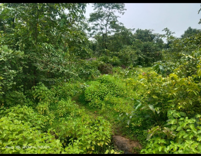  Residential Plot 93 Ares for Sale in Sawantwadi, Sindhudurg