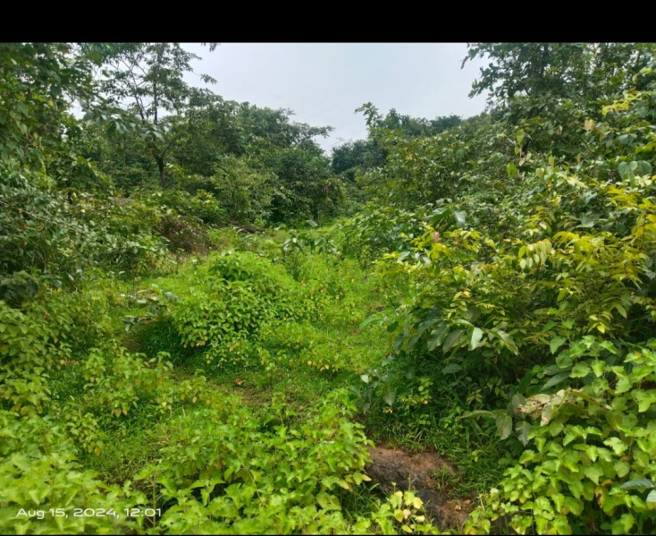  Residential Plot 93 Ares for Sale in Sawantwadi, Sindhudurg