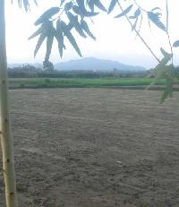  Agricultural Land for Sale in Biharigarh, Dehradun