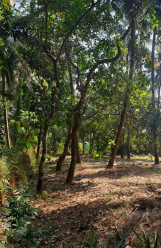  Agricultural Land for Sale in Brahmavar, Udupi