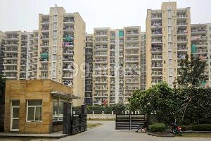 3 BHK Flat for Sale in Sector 78 Faridabad