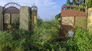  Residential Plot for Sale in Verka Milk Plant, Jalandhar