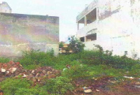  Residential Plot for Sale in Civil Lines, Jalandhar