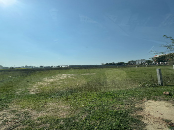  Residential Plot for Sale in Pholriwal, Jalandhar