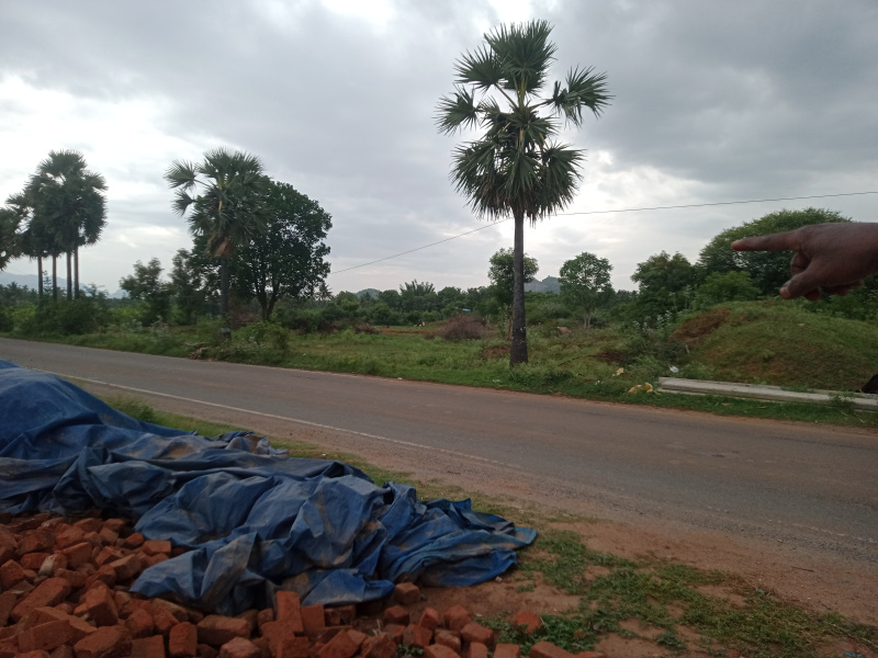  Agricultural Land 2 Acre for Sale in Attur, Salem
