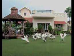 2 BHK Farm House for Sale in NH 8, Dharuhera