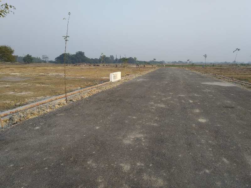 Residential Plot 1000 Sq.ft. for Sale in Sultanpur Road, Lucknow