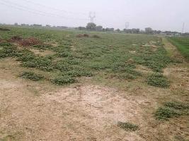  Agricultural Land for Sale in Etmadpur, Agra