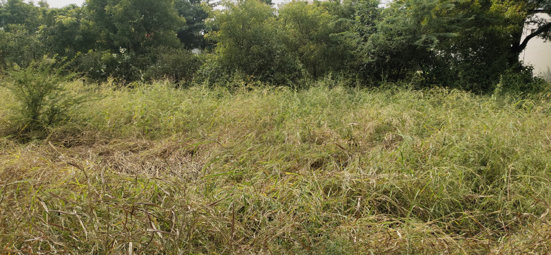  32 Cent Residential Plot for Sale in Saravanampatti, Coimbatore