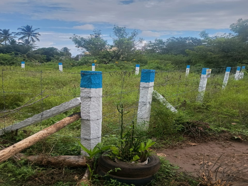  6 Cent Residential Plot for Sale in Vadavalli, Coimbatore