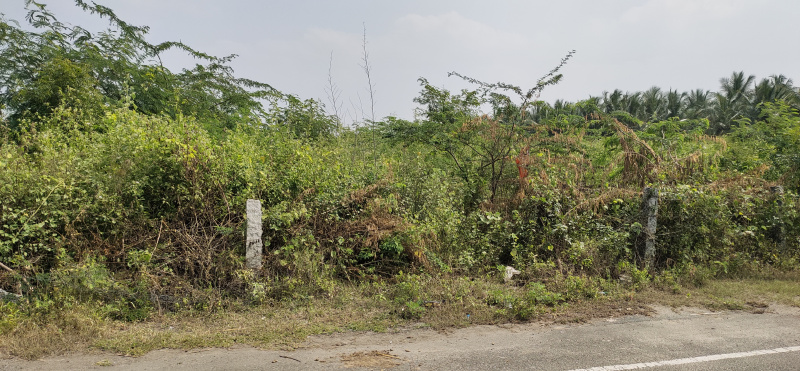  15 Cent Residential Plot for Sale in Saravanampatti, Coimbatore