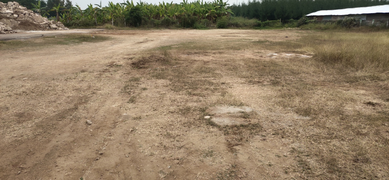  13 Cent Residential Plot for Sale in Kalapatti, Coimbatore