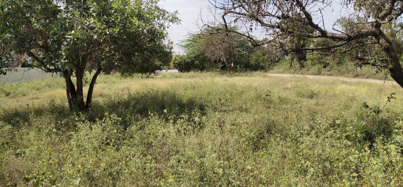  12 Cent Residential Plot for Sale in Kalapatti, Coimbatore