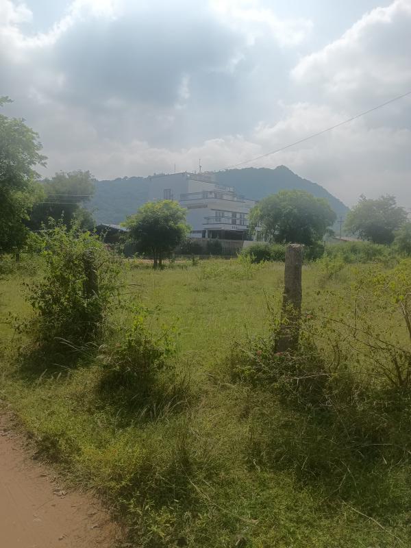  30 Acre Agricultural/Farm Land for Sale in Karadivavi, Coimbatore