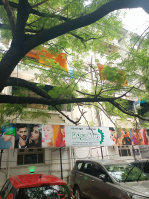 2 BHK Flat for Sale in Nandanam, Chennai