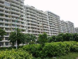 2 BHK Flat for Sale in TDI City Kundli, Sonipat