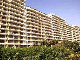 3 BHK Flat for Sale in TDI City Kundli, Sonipat