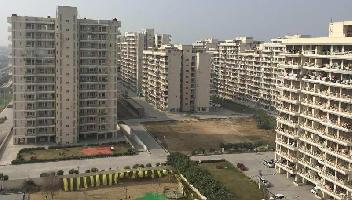 3 BHK Flat for Sale in TDI City Kundli, Sonipat